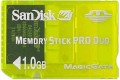 Carte Mémoire 1 go Sandisk