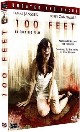 100 Feet - DVD