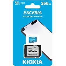 Carte mémoire flash 256 Go Exceria - Multimedia