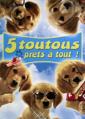 5 toutous prets a tout - DVD