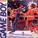 Best of the Best : Championship Karate - Game Boy