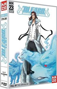 Bleach Box 23 - DVD
