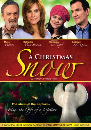 Christmas snow - DVD