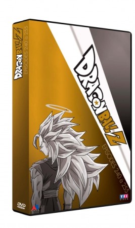 Dragon ball z coffret 13 épisodes 240 à 255  - DVD