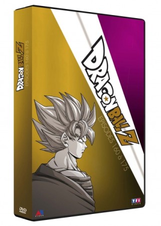 Dragon ball z coffret 8 épisodes 160 à 175 - DVD