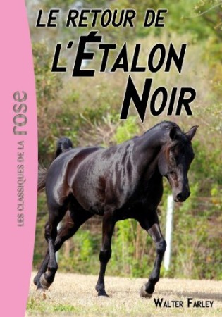Le retour de l'étalon noir - DVD