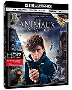 Les Animaux Fantastiques 4K - BluRay