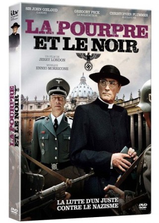 Pourpre et le noir - DVD
