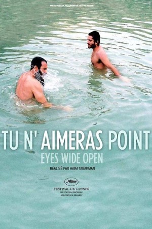 Tu n'aimeras point - DVD