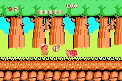 Adventure Island 3