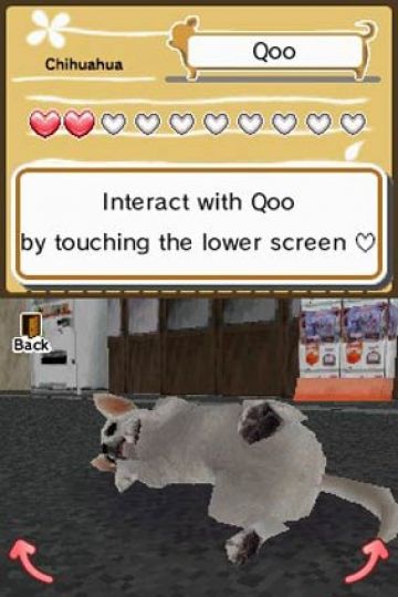 DS ANIMAL PARADISE 2