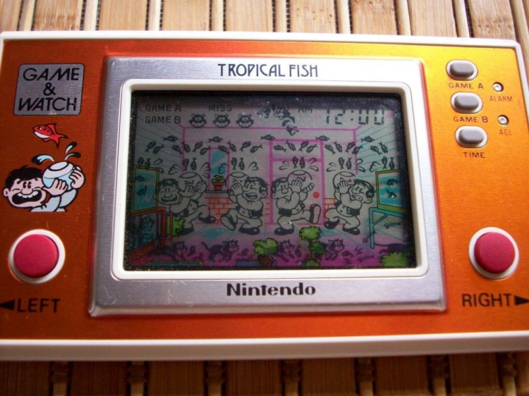 GW TROPICAL FISH 2