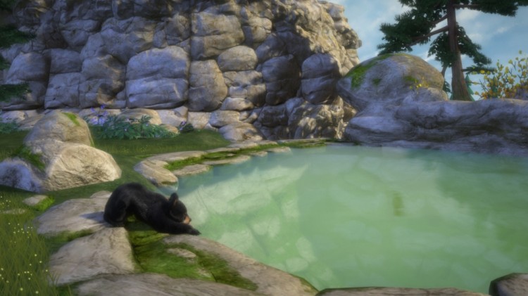 kinectimals now with bears screen 2
