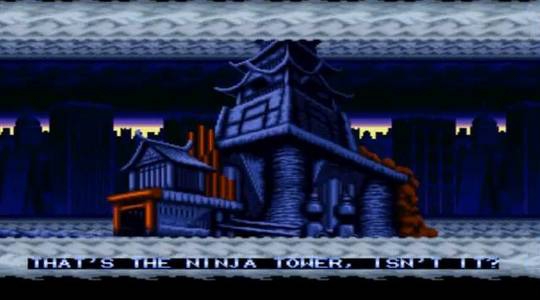 Ninja Combat (2)