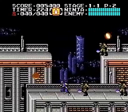 Shadow Warriors II 2