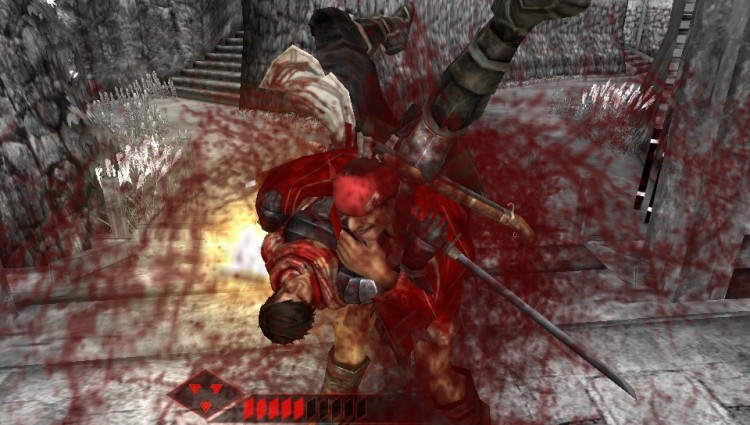 shinobido 2 5