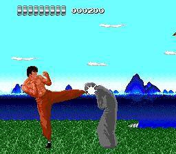THE KUNG FU 1
